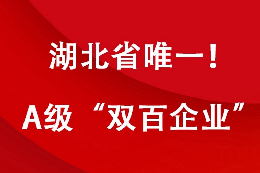 铂莱国际(柬埔寨)官方网站